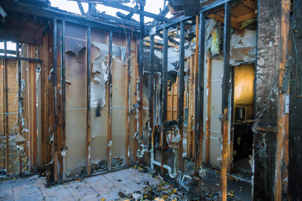 Professional Smoke Damage Restoration technician working in Dalbo, MN